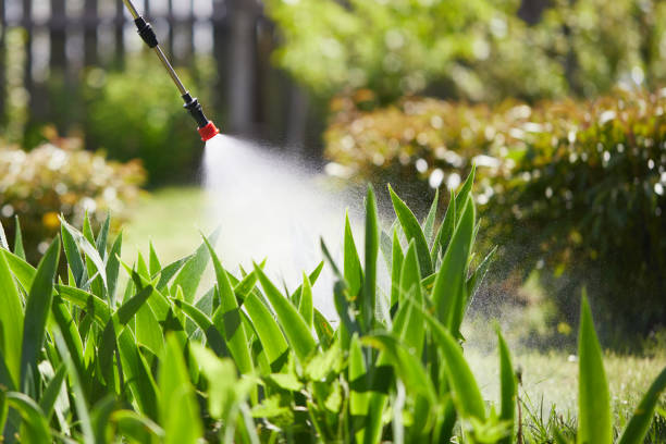 24/7 Emergency Ant Control experts in Morton, IL